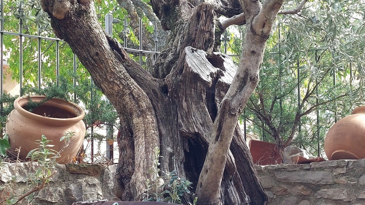 Photo of Outdoor in La Rochegiron