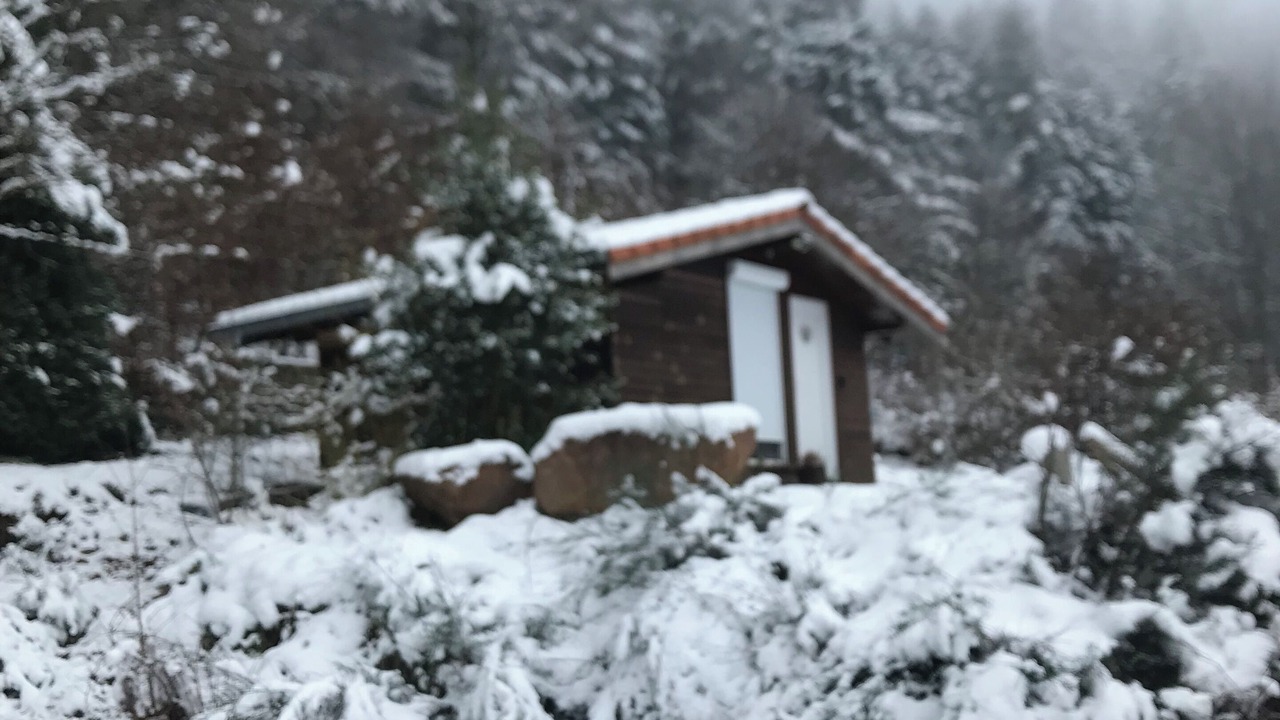 Photo of Outdoor in Wangenbourg-Engenthal