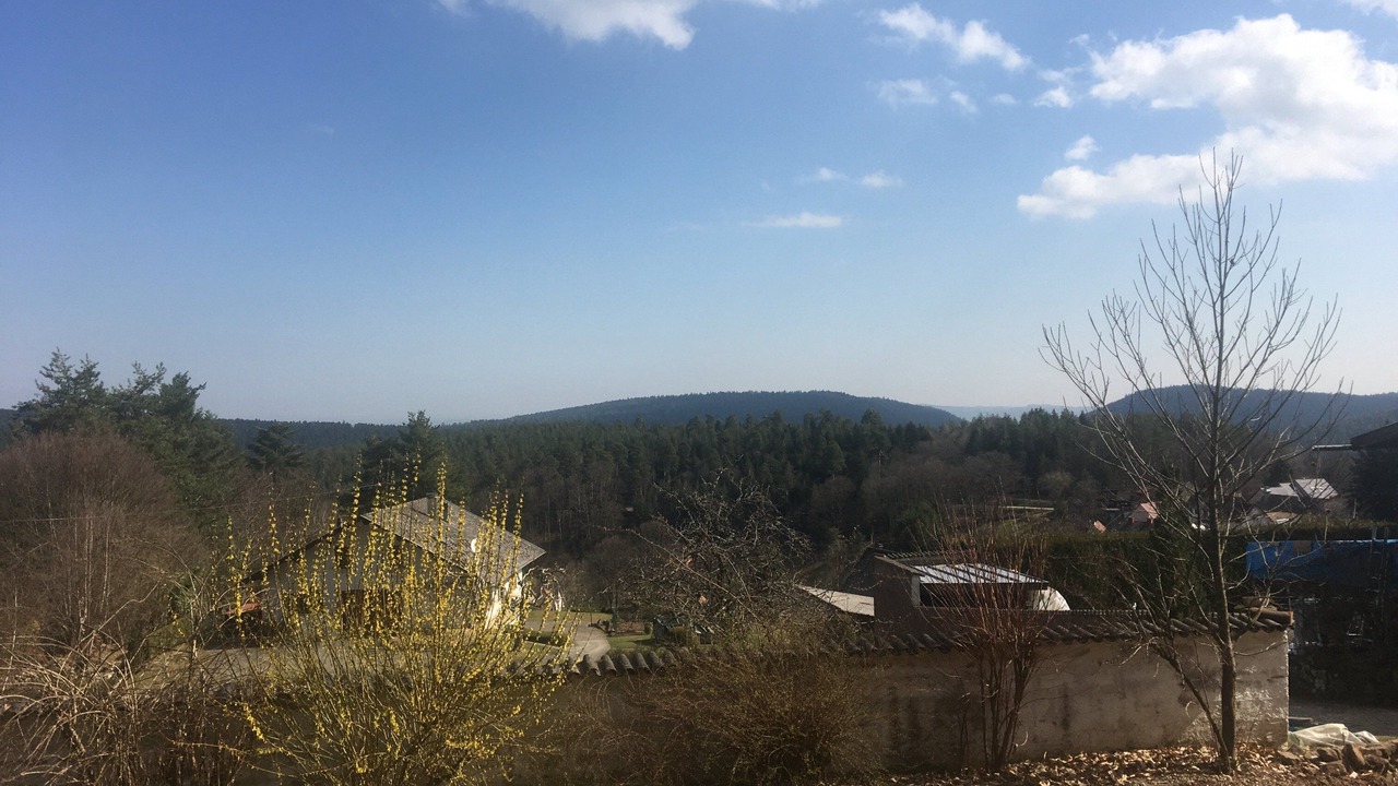 Photo of Others in Wangenbourg-Engenthal