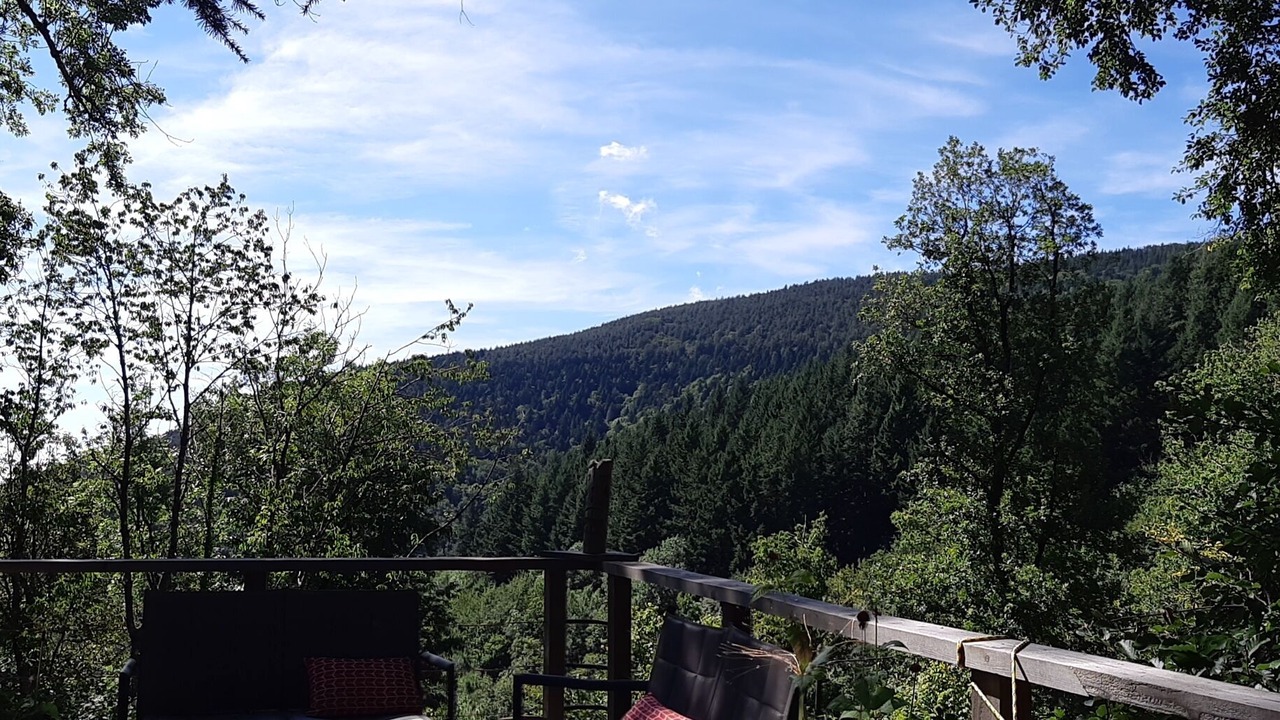 Photo of Outdoor in Lespinassiere