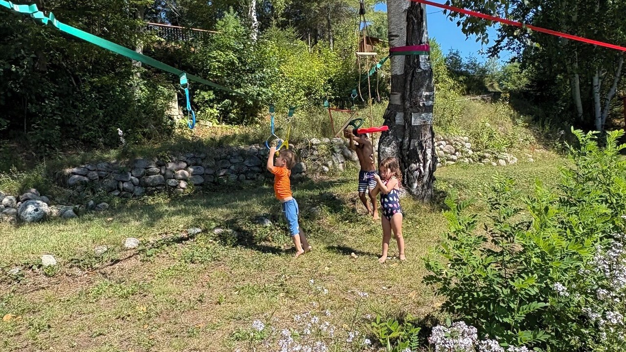 Photo of Others in Gracefield
