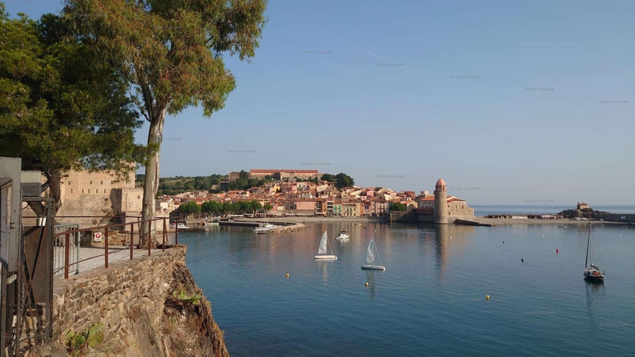 Photo of Others in Collioure