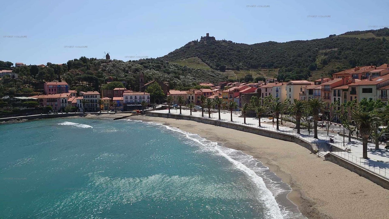 Photo of Others in Collioure