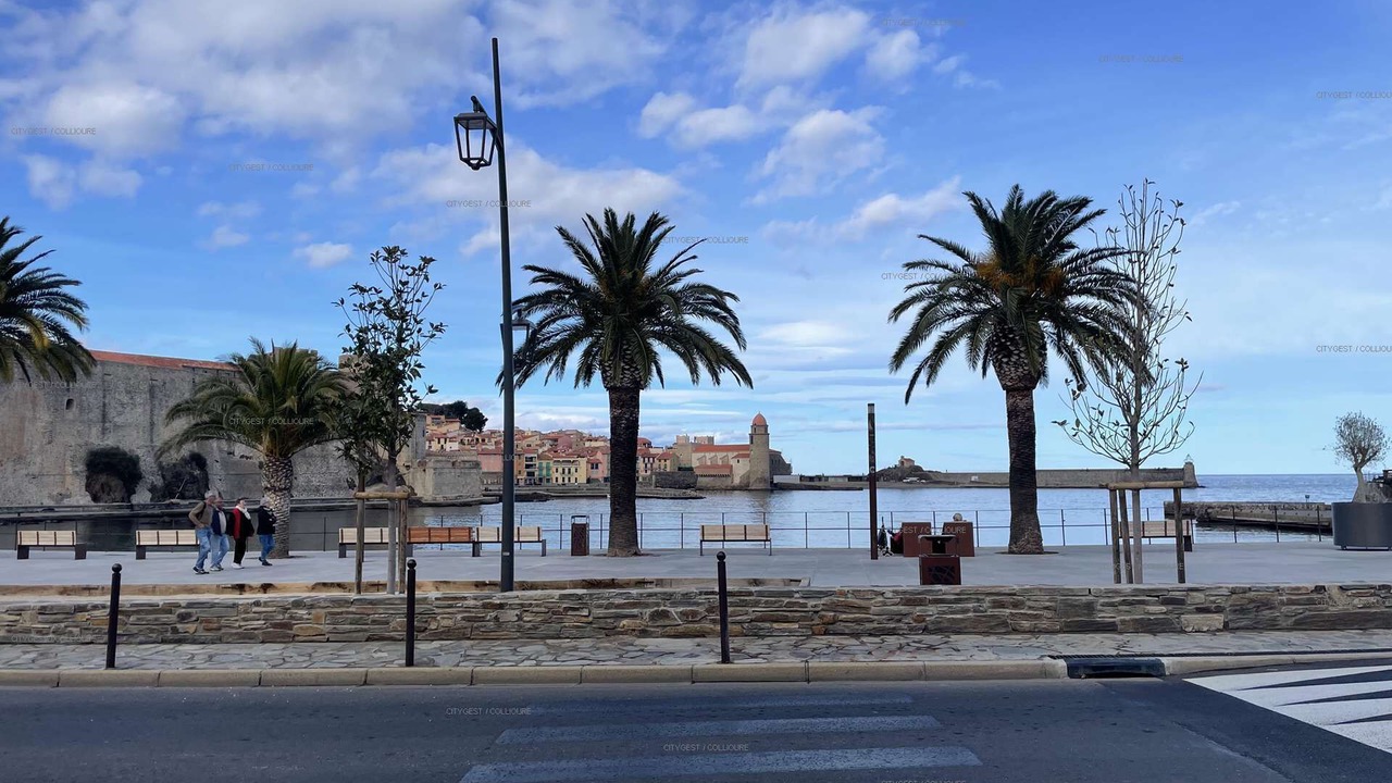 Photo of Others in Collioure