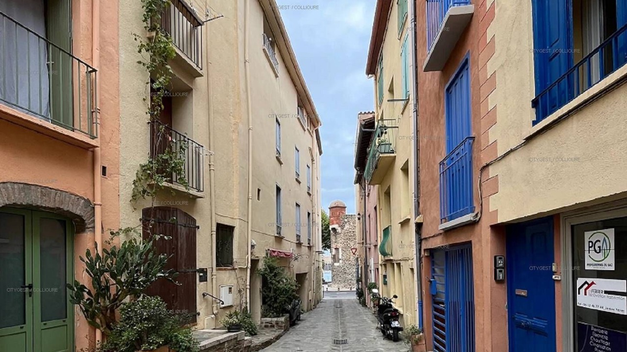 Photo of Others in Collioure