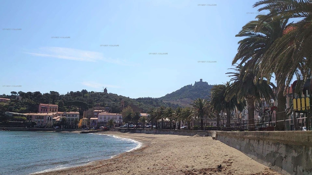 Photo of Others in Collioure