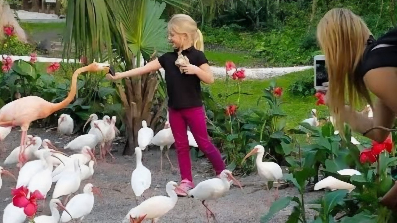 Photo of Others in Bonita Springs