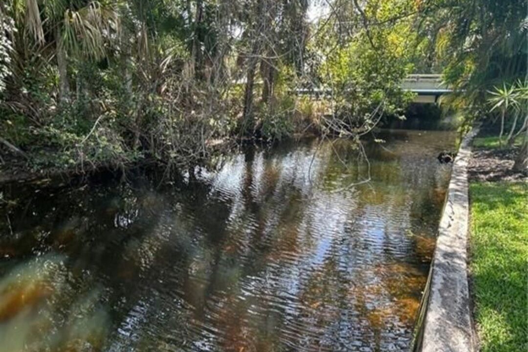 Photo of Others in Bonita Springs