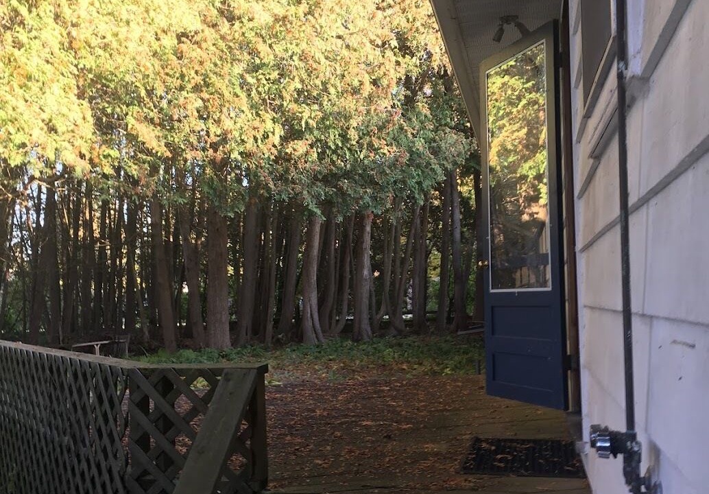 Photo of Outdoor in Southampton