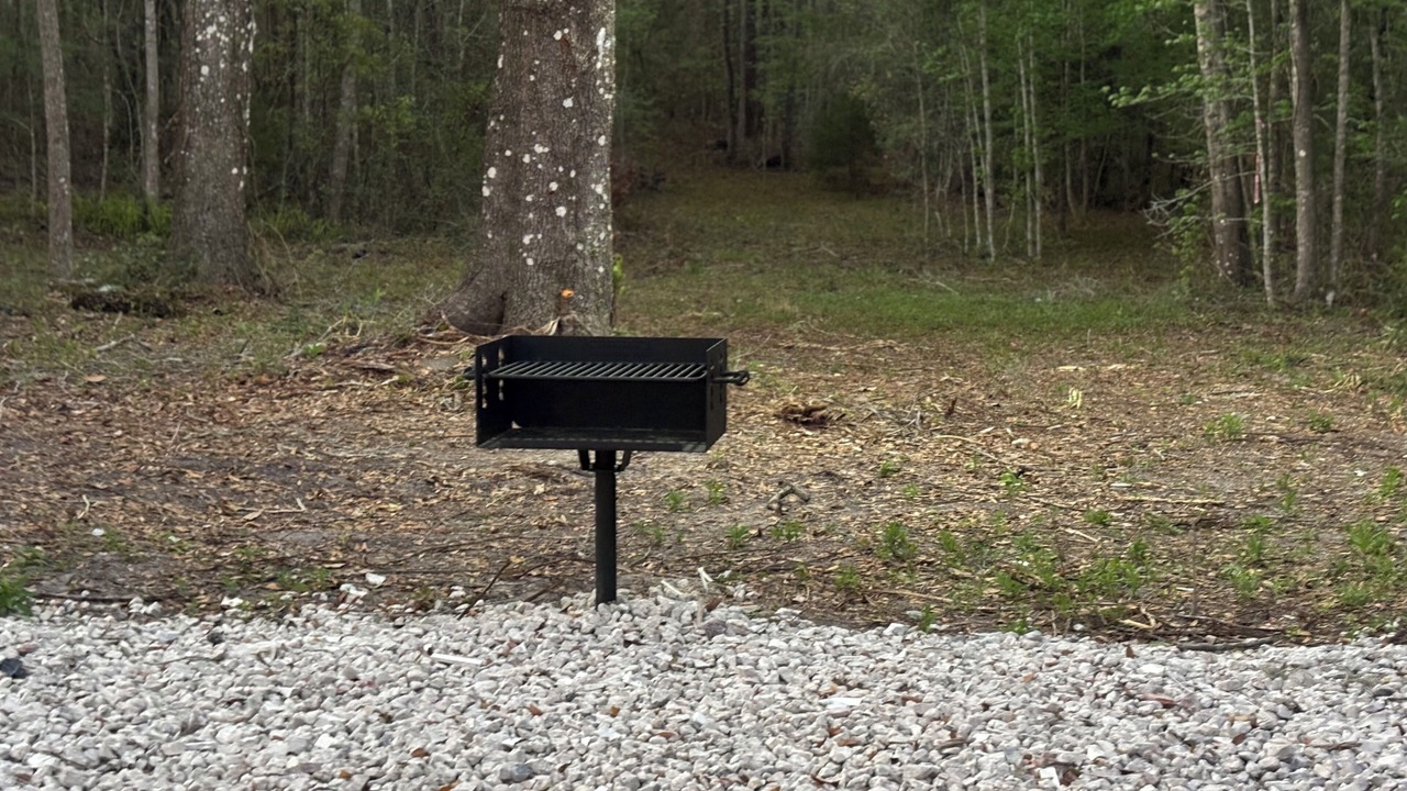 Photo of Outdoor in Brooksville