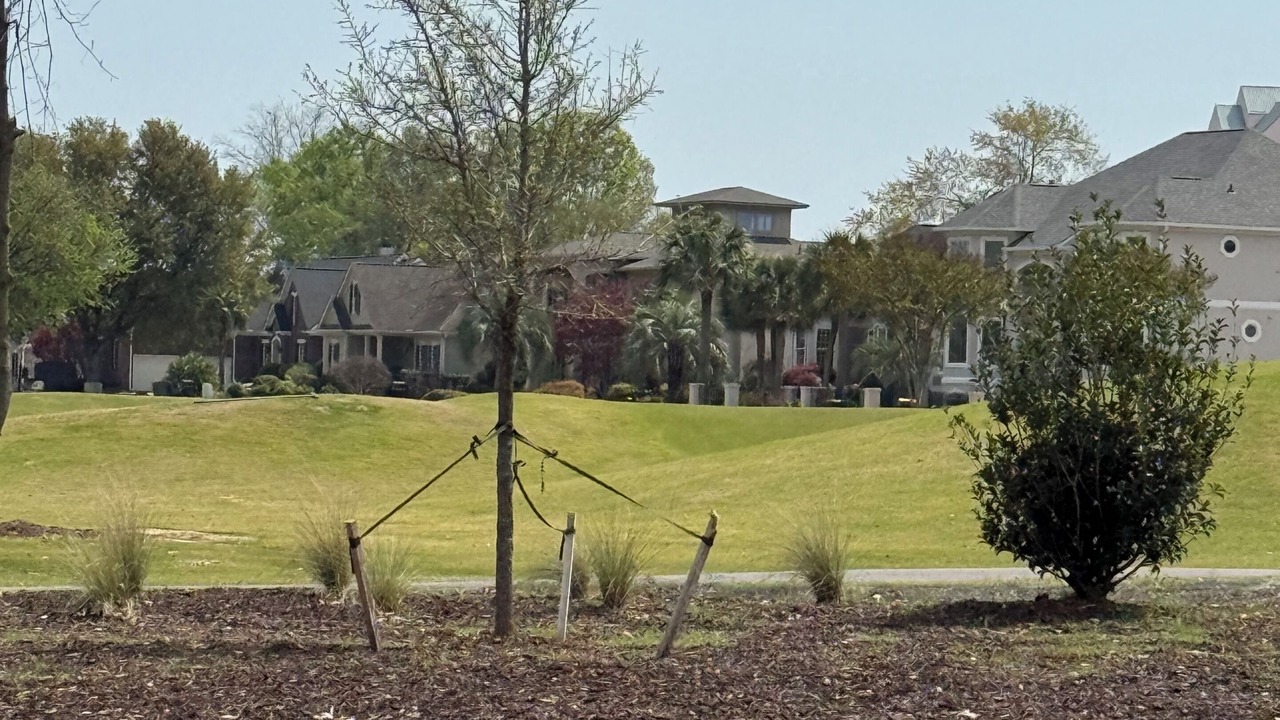 Photo of Outdoor in North Augusta