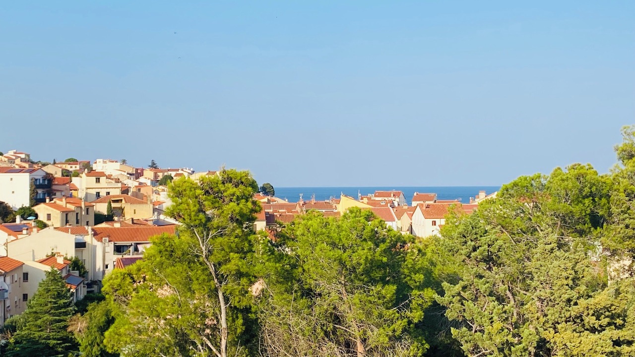 Photo of Others in Banyuls-sur-Mer