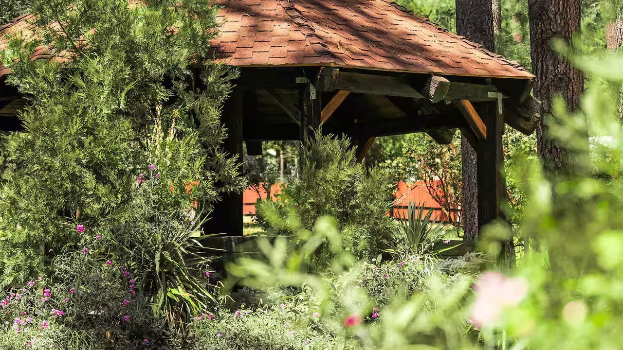 Photo of Outdoor in Idyllwild