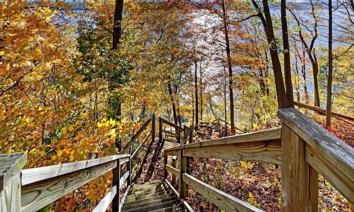 Photo of Outdoor in Lansing