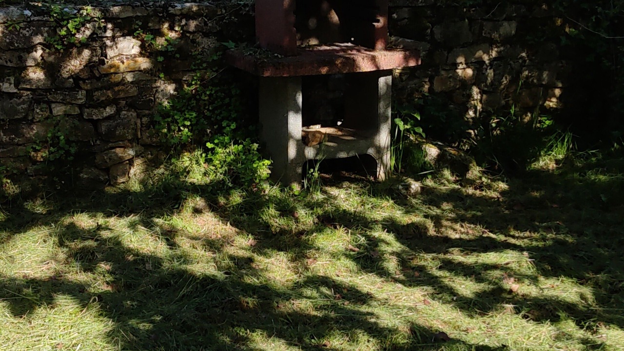 Photo of Outdoor in Corn