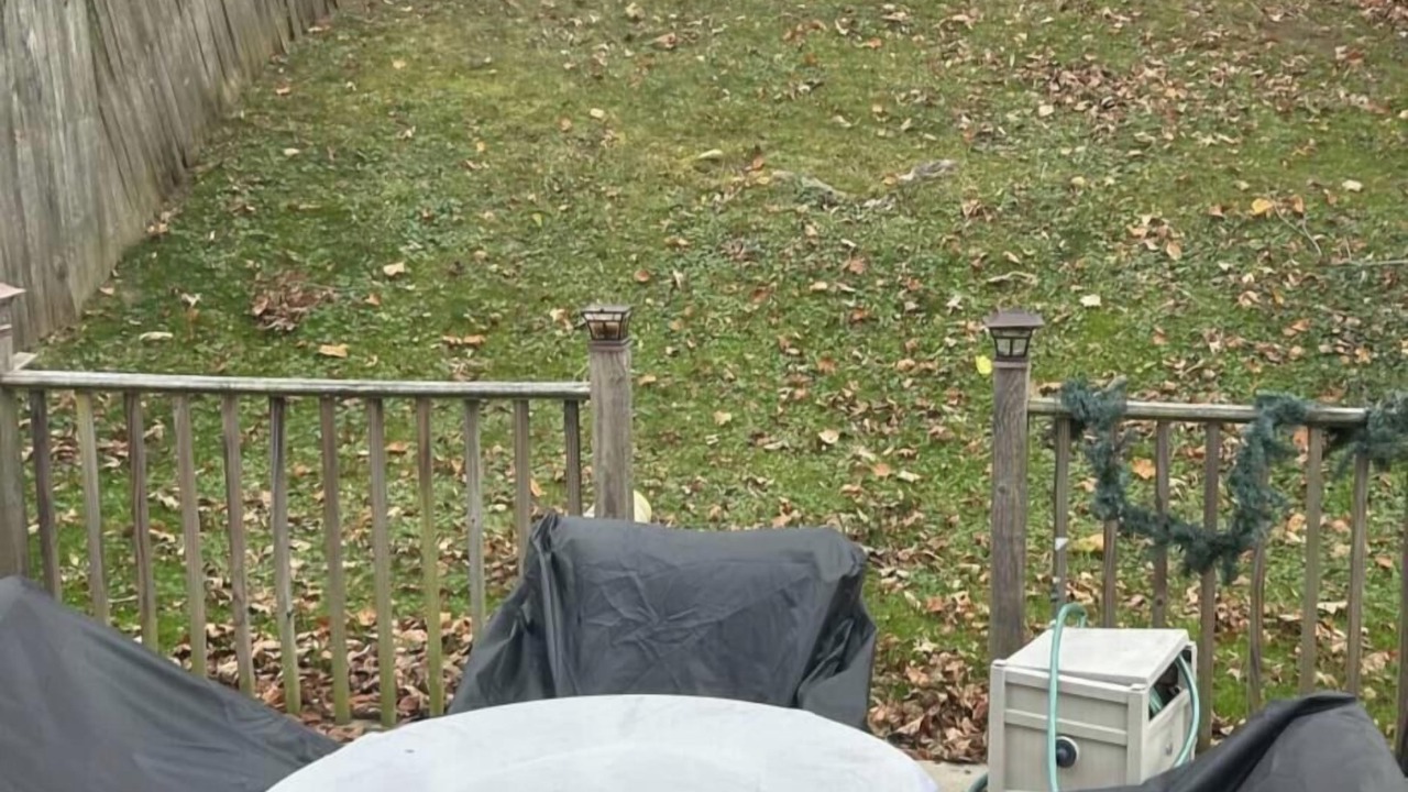 Photo of Outdoor in Washington