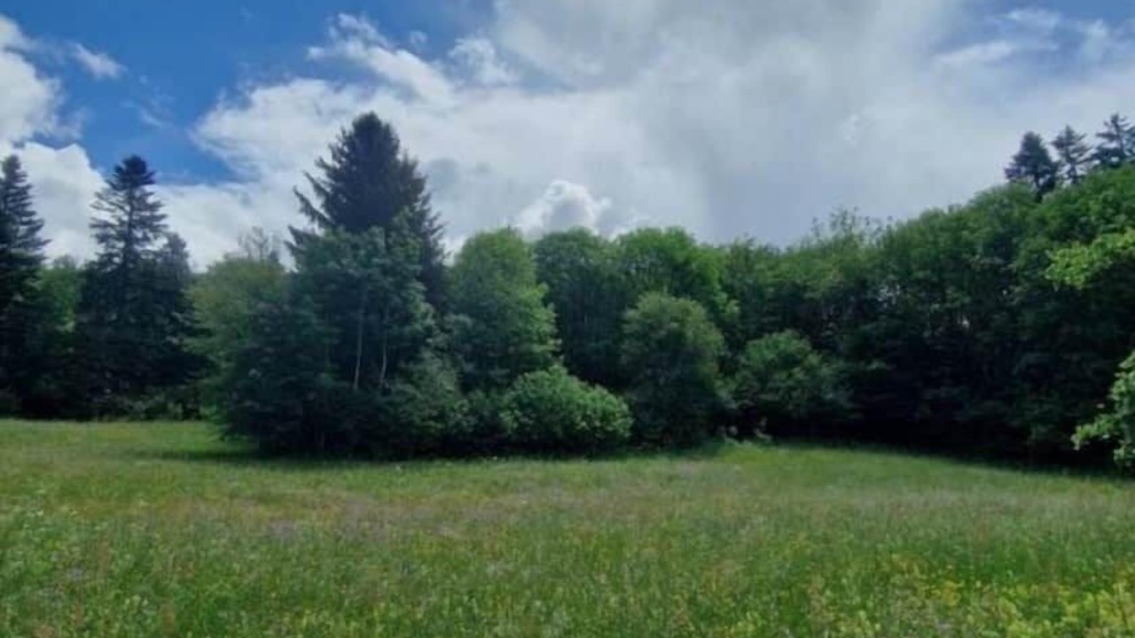 Photo of Others in Laffrey