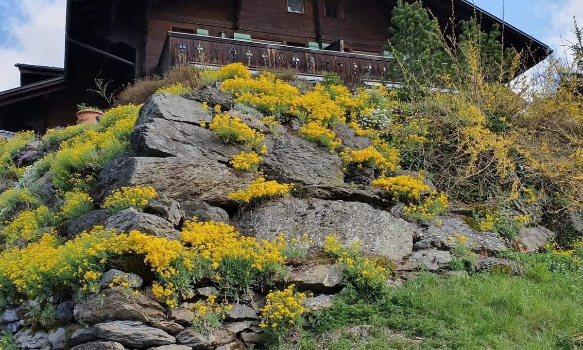Photo of Outdoor in Grindelwald