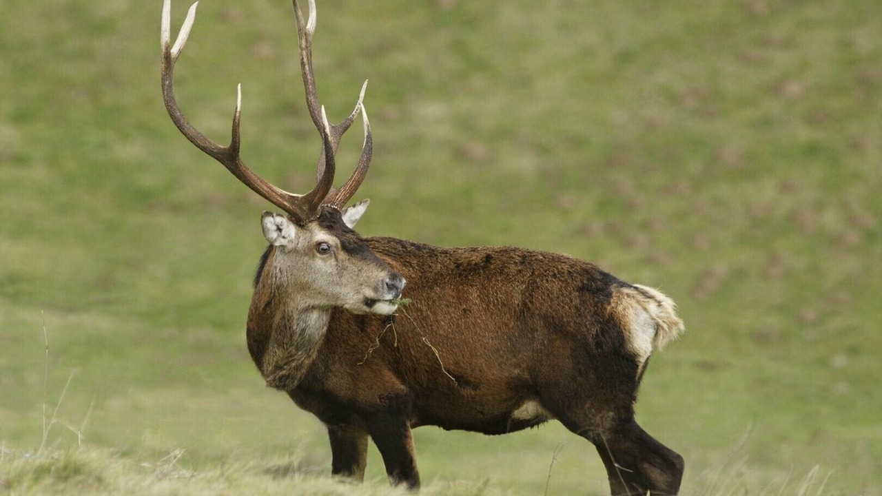 Photo of Others in Campan