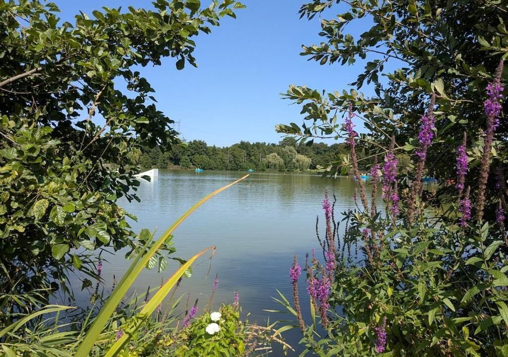 Photo of Others in Le Plessis-Grohan