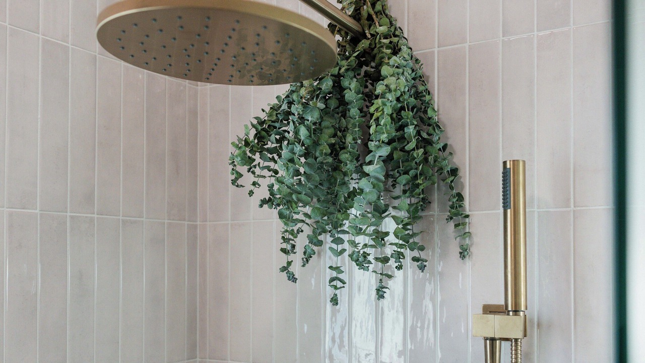 Photo of Bathroom in El Centro