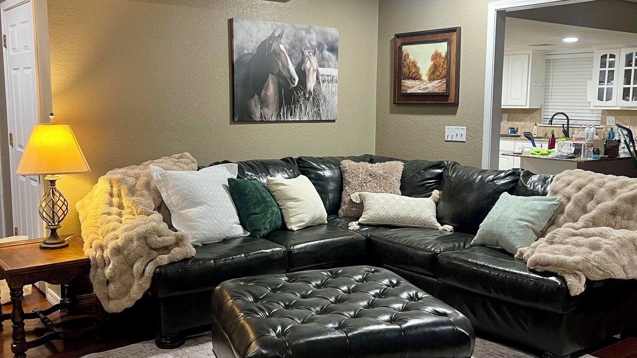 Photo of Livingroom in Evening Shade