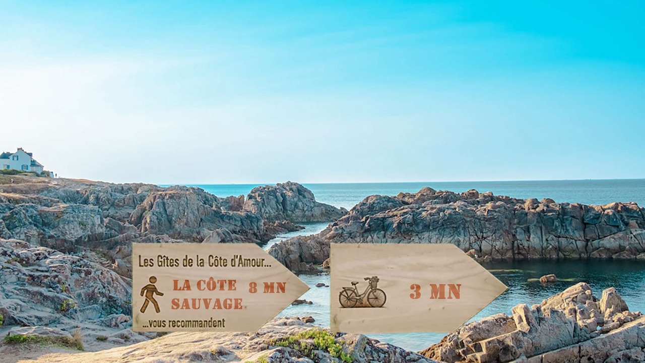 Photo of Others in Batz-sur-Mer