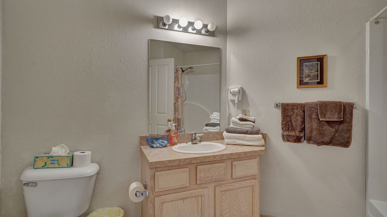 Photo of Bathroom in Pigeon