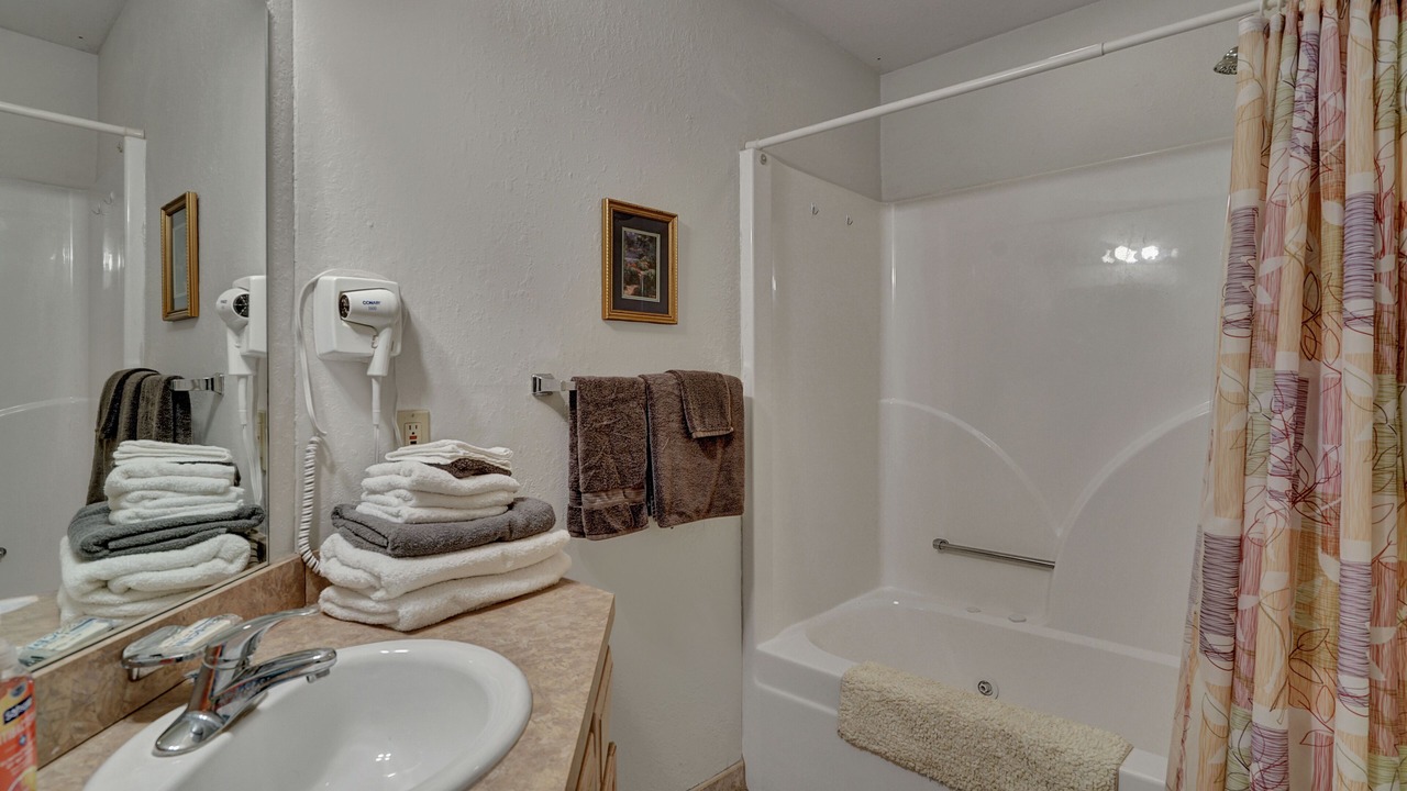 Photo of Bathroom in Pigeon