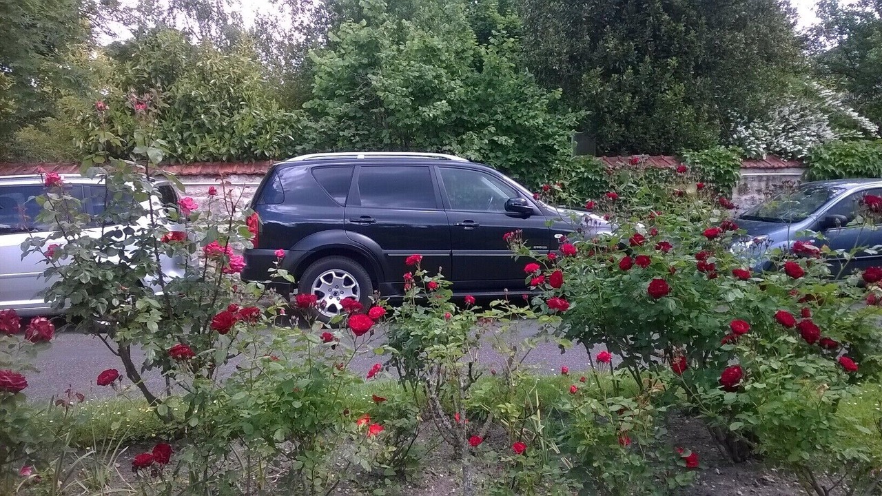 Photo of Outdoor in Chatou