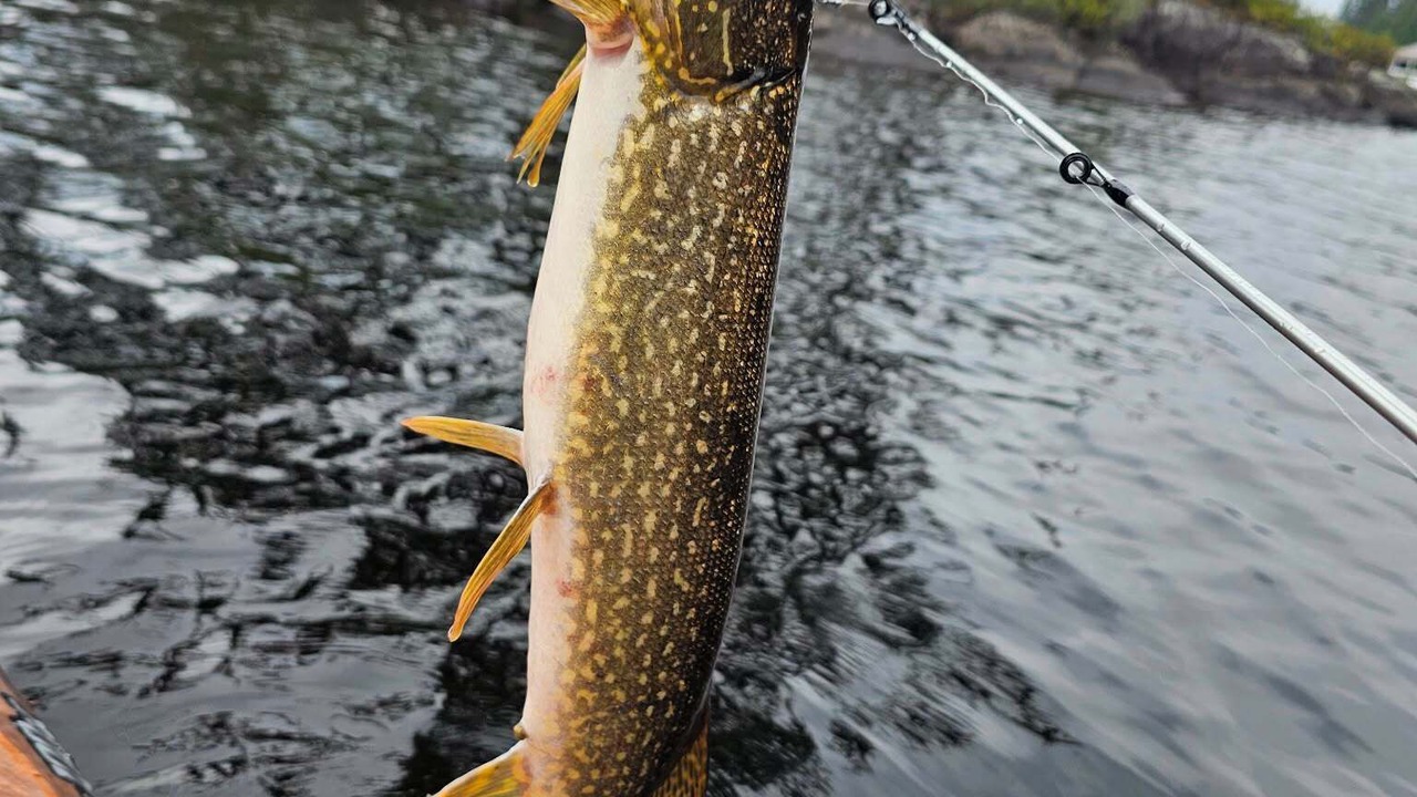 Photo of Others in Saint-Ambroise