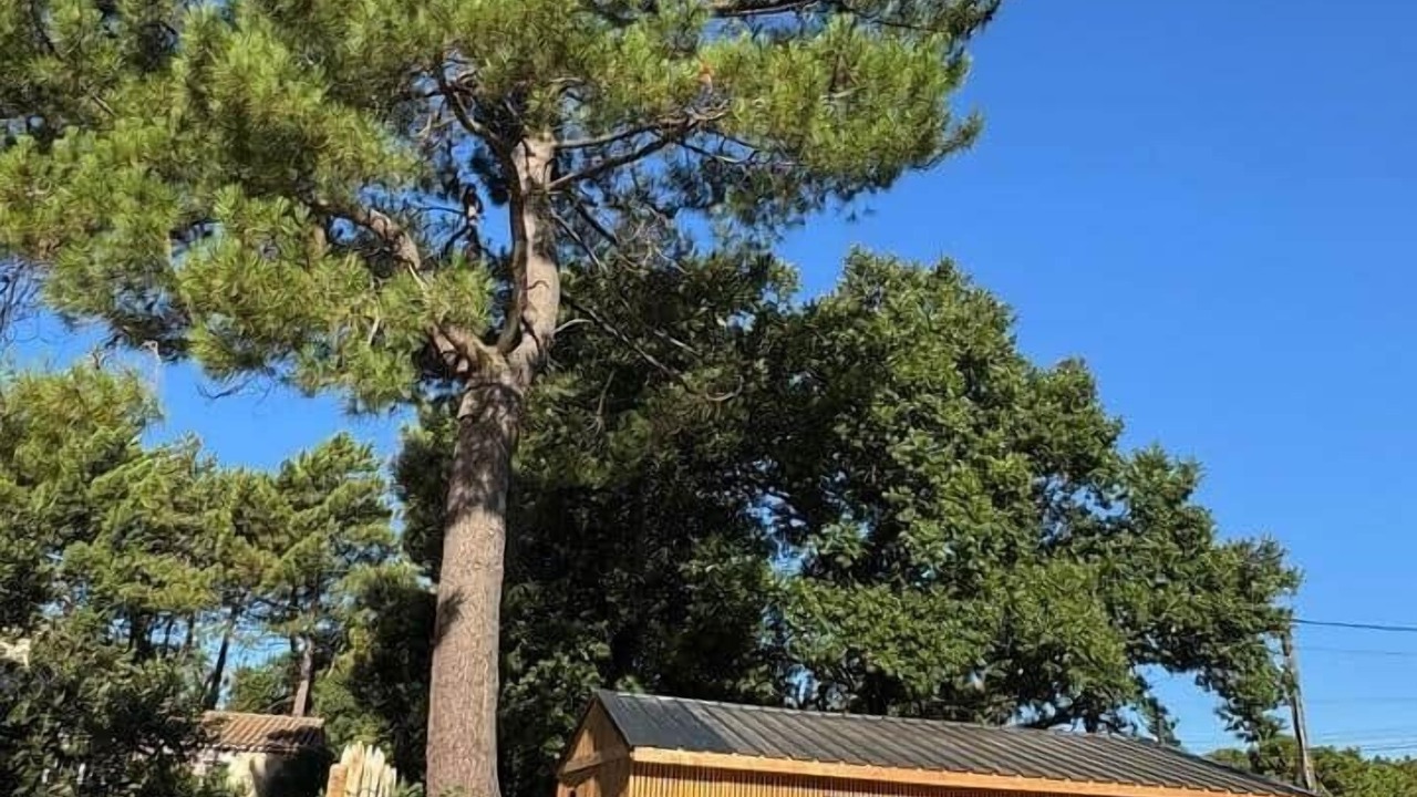 Photo of Outdoor in Mornas
