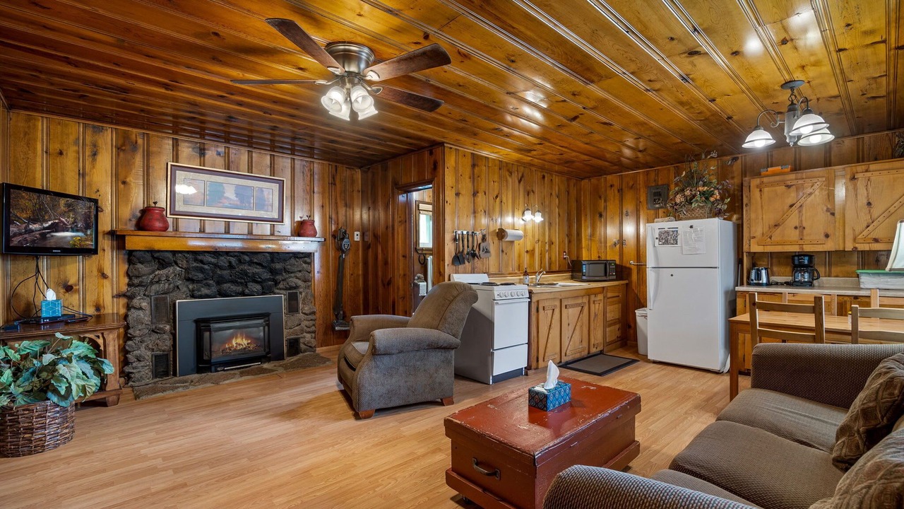 Photo of Livingroom in Greer