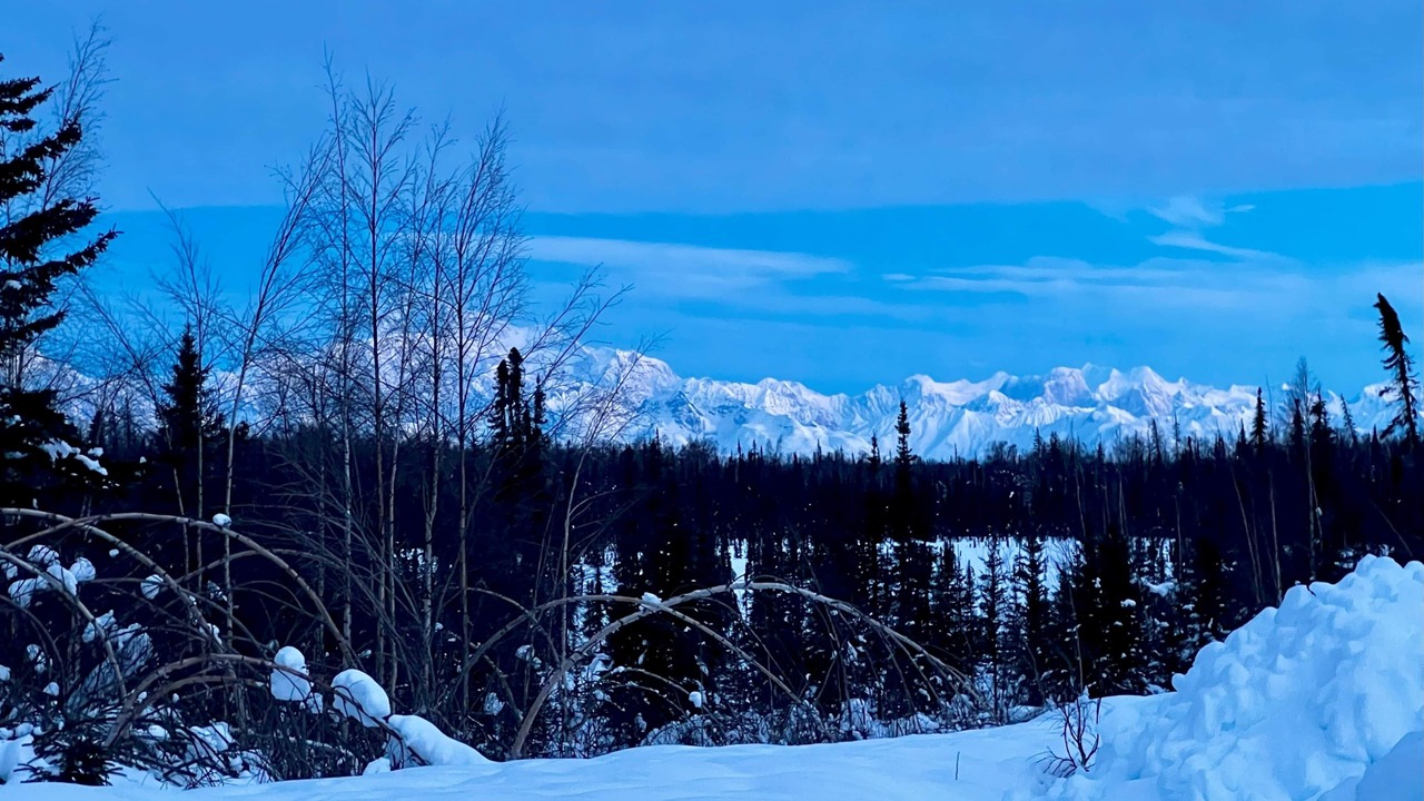 Photo of Others in Trapper Creek