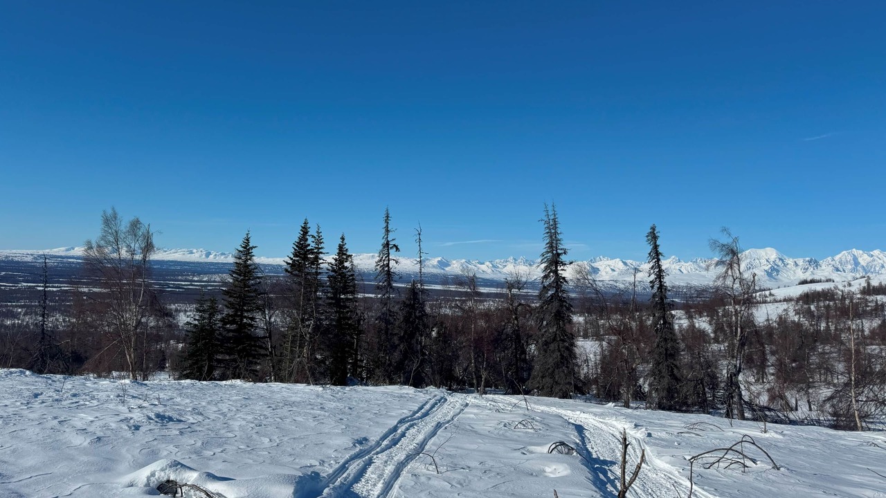 Photo of Others in Trapper Creek