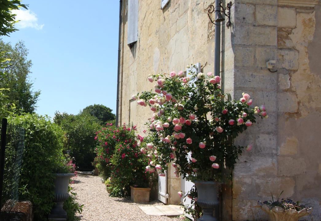 Photo of Outdoor in Puisseguin