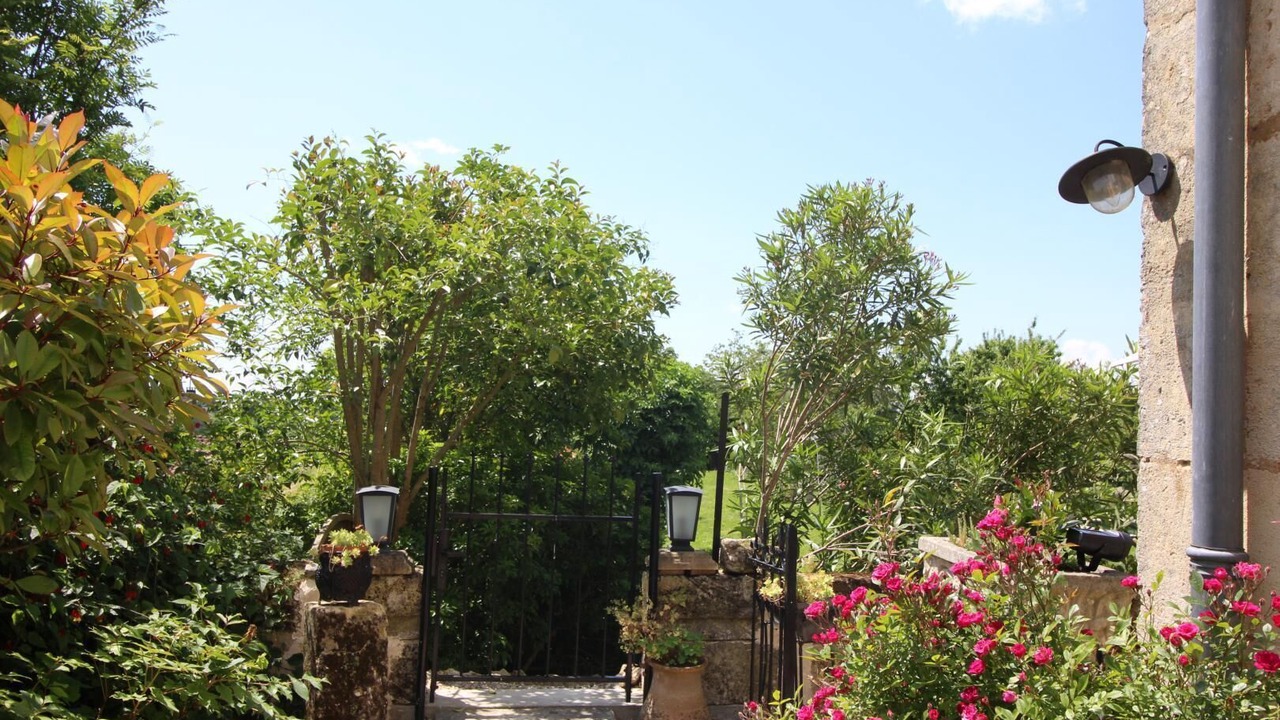 Photo of Outdoor in Puisseguin