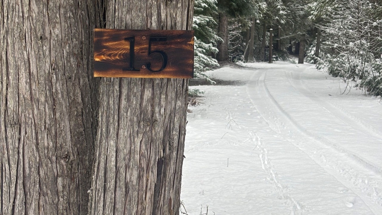 Photo of Outdoor in Noxon