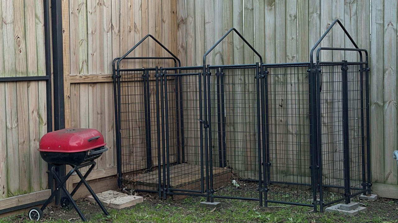 Photo of Outdoor in Rosenberg