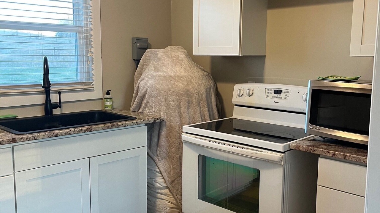 Photo of Kitchen in Dewy Rose