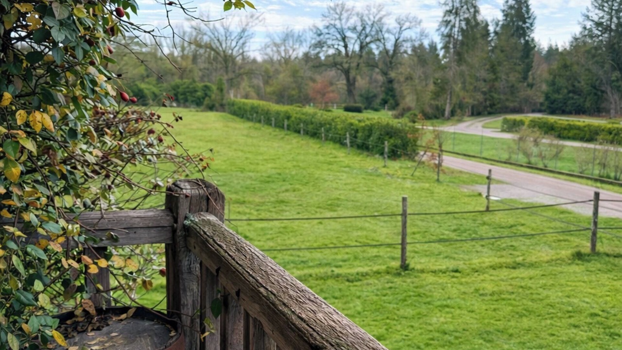 Photo of Outdoor in Souesmes