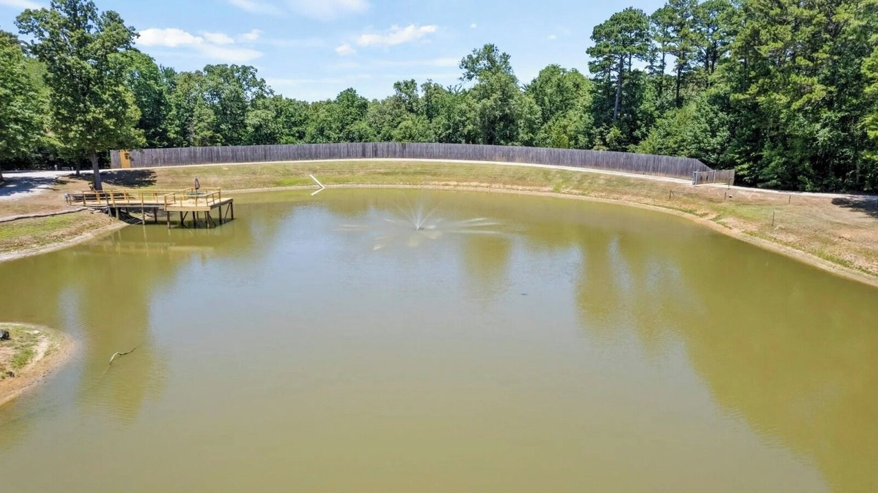 Photo of Others in Winnsboro