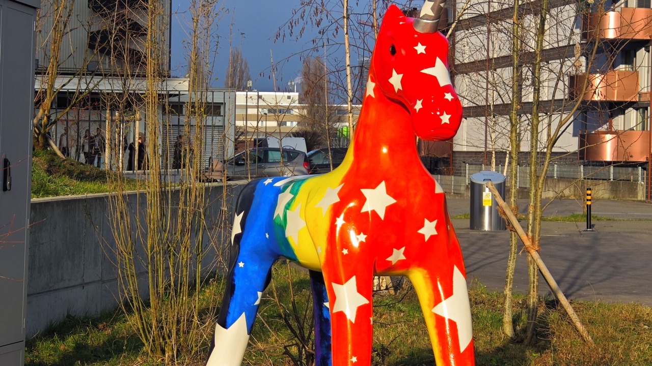 Photo of Others in Uster District
