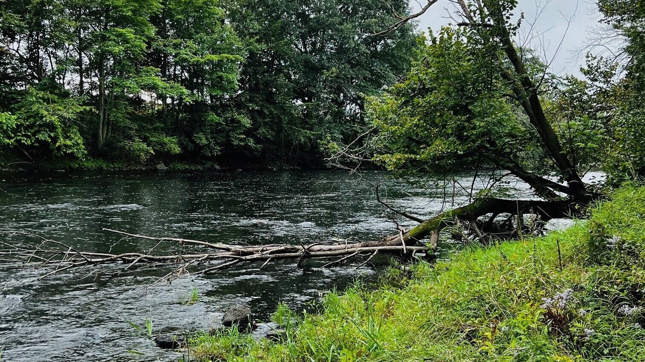 Photo of Others in Champlain