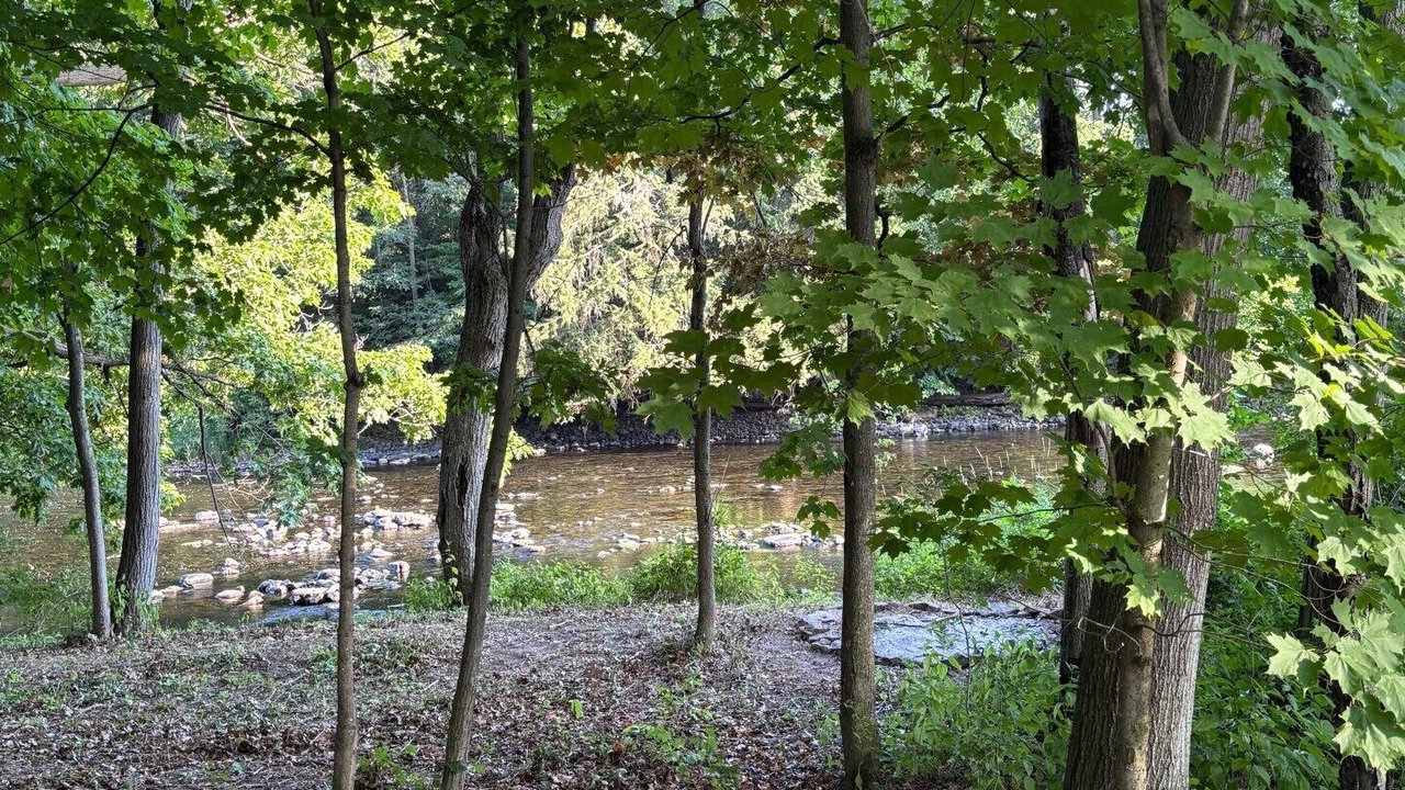 Photo of Others in Champlain