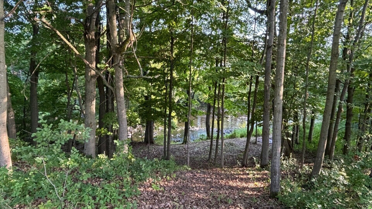 Photo of Others in Champlain