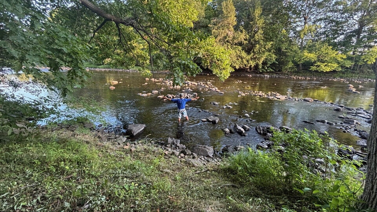 Photo of Others in Champlain
