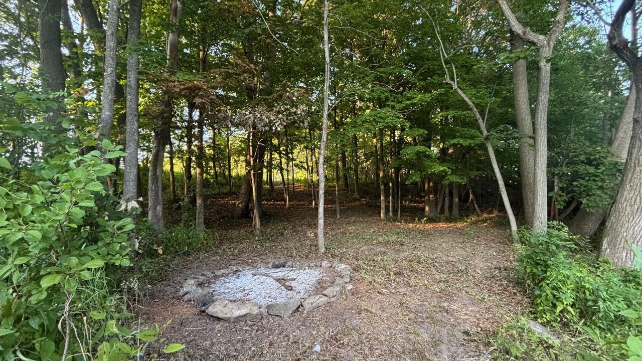 Photo of Others in Champlain