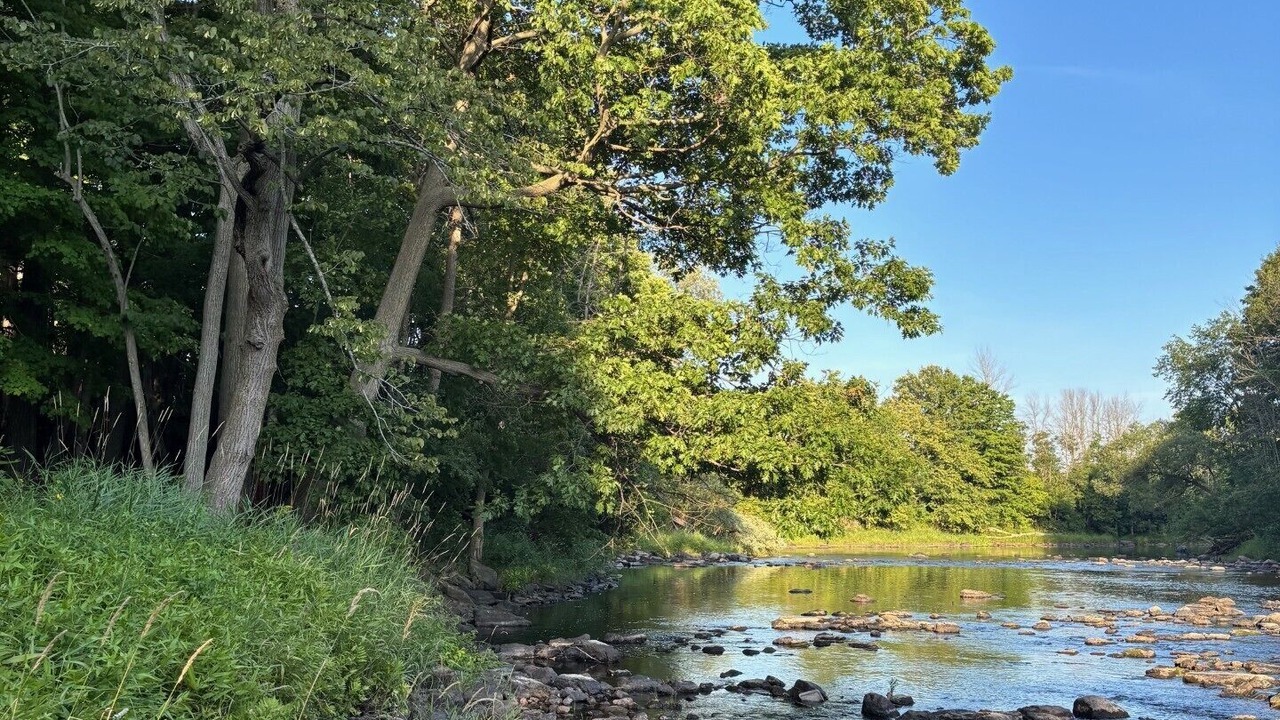 Photo of Others in Champlain