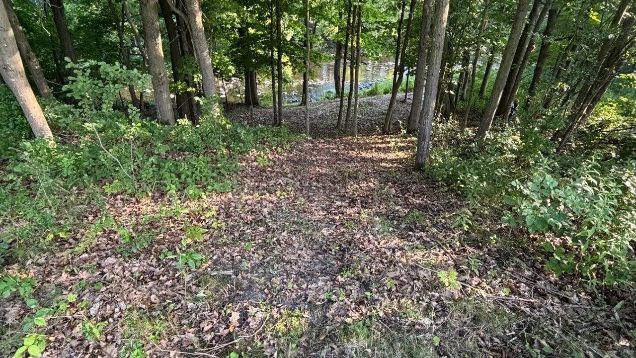 Photo of Others in Champlain